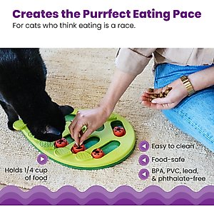 Nina Ottosson by Outward Hound Buggin' Out Puzzle & Play Cat Toy