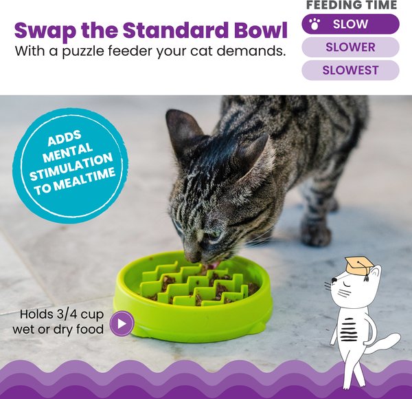 Cat Bowl How To Make Your Cat Eat Slower CATSTAGES Kitty Slow