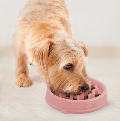 Show full view: Outward Hound Non-Skid Plastic Slow Feeder Wave Dog Bowl, Pink, 0.75-cup slide 6 of 9