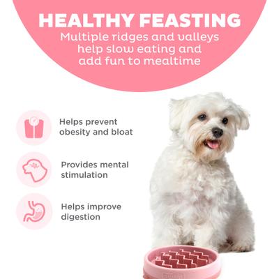 Show full view: Outward Hound Non-Skid Plastic Slow Feeder Wave Dog Bowl, Pink, 0.75-cup slide 2 of 9