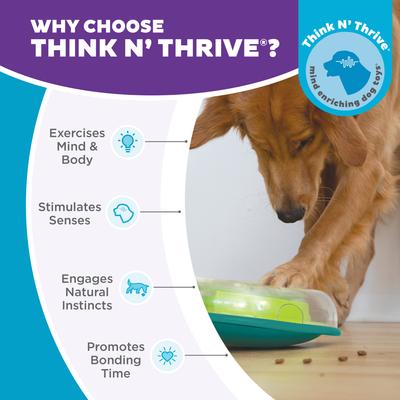 Show full view: Nina Ottosson by Outward Hound Wobble Plastic Slow Feeder Dog Bowl, 1-cup slide 7 of 12