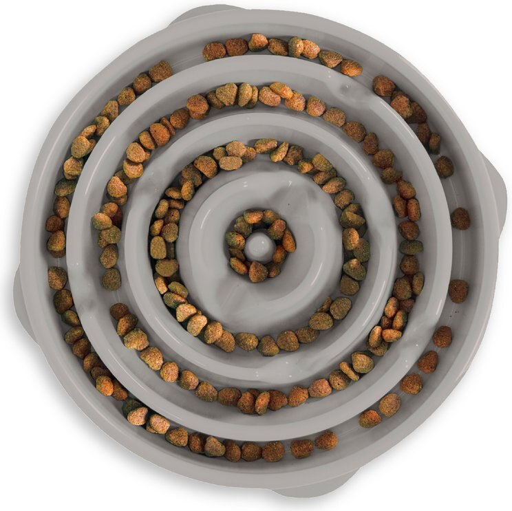 View of Puzzle Feeders (Free Shipping) | Chewy
