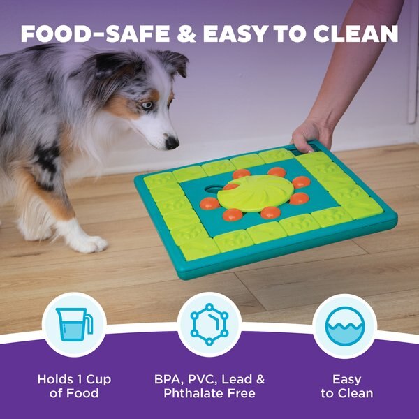 Nina Ottosson by Outward Hound Multipuzzle Dog Toy