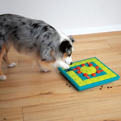 Show full view: Nina Ottosson by Outward Hound Multipuzzle Dog Toy, Green & Blue slide 9 of 12