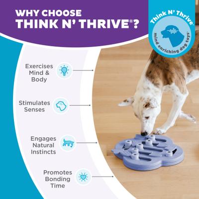 Show full view: Nina Ottosson by Outward Hound Puppy Hide N Slide Treat Puzzle Enrichment Dog Toy, Purple slide 7 of 12