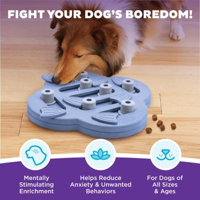 Show full view: Nina Ottosson by Outward Hound Puppy Hide N Slide Treat Puzzle Enrichment Dog Toy, Purple slide 3 of 12
