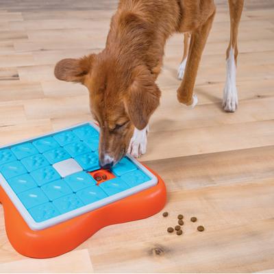 Show full view: Nina Ottosson by Outward Hound Challenge Slider Dog Toy, Blue & Orange slide 8 of 11