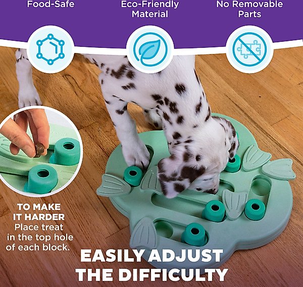 Nina Ottosson by Outward Hound Dog Hide N Slide Dog Toy