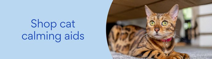 Shop cat calming aids