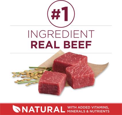 Show full view: Purina ONE Natural SmartBlend Small Bites Beef & Rice Formula Dry Dog Food, 16.5-lb bag slide 5 of 11