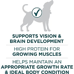 Purina ONE +Plus Natural Large Breed Formula Dry Puppy Food, 40-lb bag
