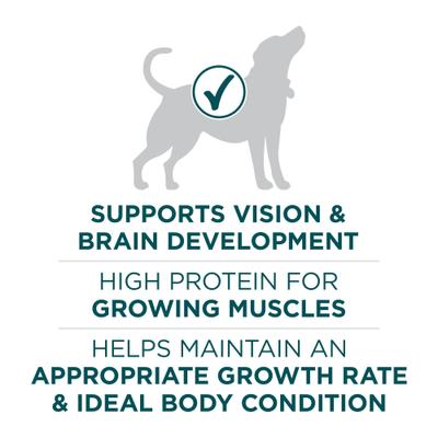 Show full view: Purina ONE +Plus Natural Large Breed Formula Dry Puppy Food, 31.1-lb bag slide 6 of 11