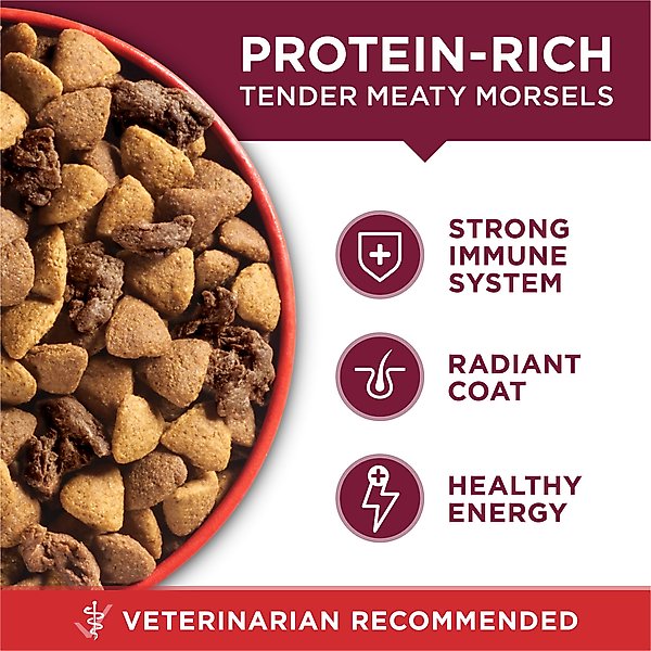 Purina ONE Natural SmartBlend Small Bites Beef & Rice Formula Dry Dog Food
