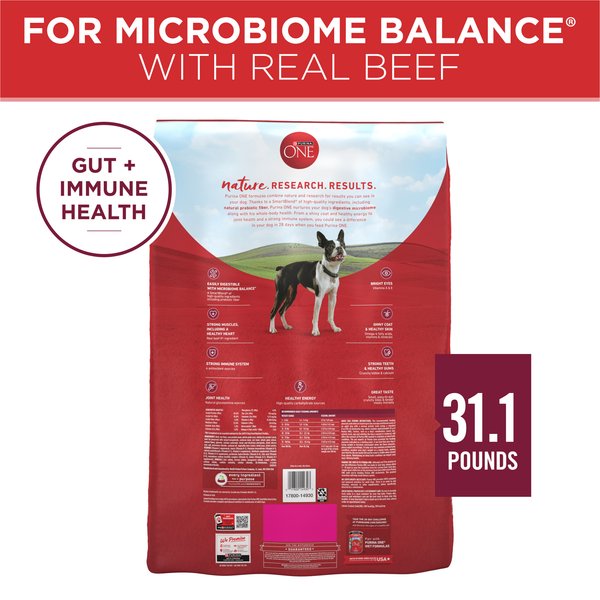 Purina ONE Natural SmartBlend Small Bites Beef & Rice Formula Dry Dog Food