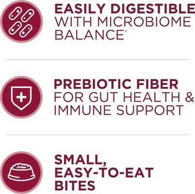 Show full view: Purina ONE Natural SmartBlend Small Bites Beef & Rice Formula Dry Dog Food, 16.5-lb bag slide 6 of 11