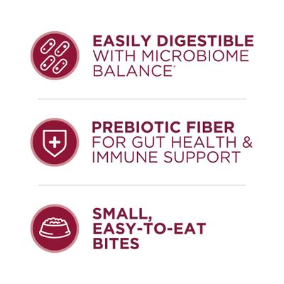 Show full view: Purina ONE Natural SmartBlend Small Bites Beef & Rice Formula Dry Dog Food, 31.1-lb bag slide 6 of 12