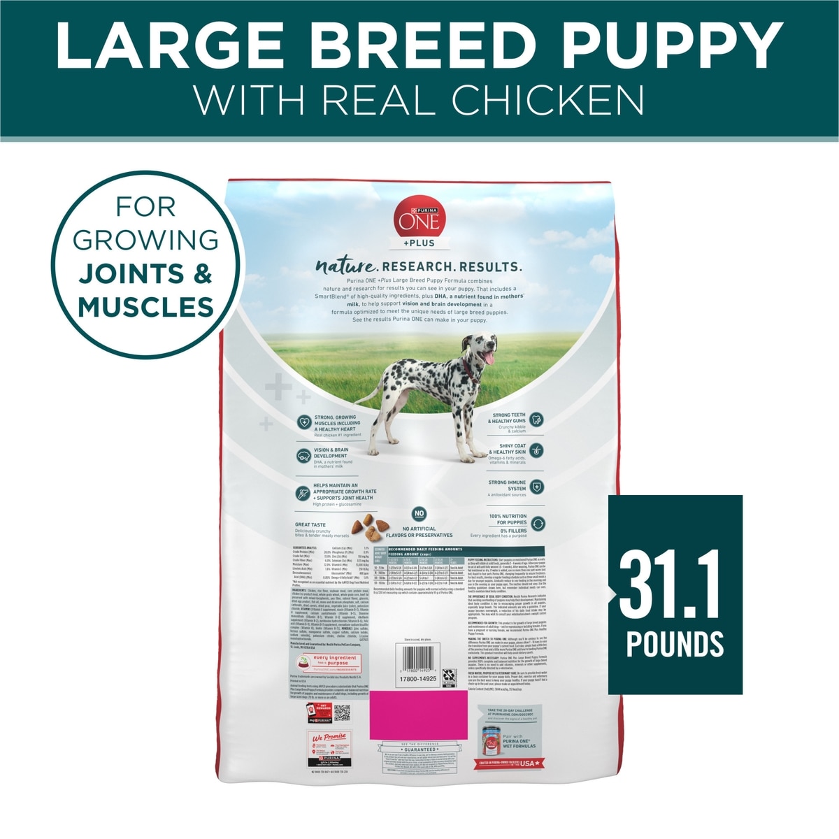 PURINA ONE +Plus Natural Large Breed Formula Dry Puppy Food,