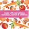 Show in main carousel: Purina Beneful IncrediBites with Real Salmon & Gravy Small Breed Wet Dog Food, 3-oz can, case of 12 slide 5 of 12