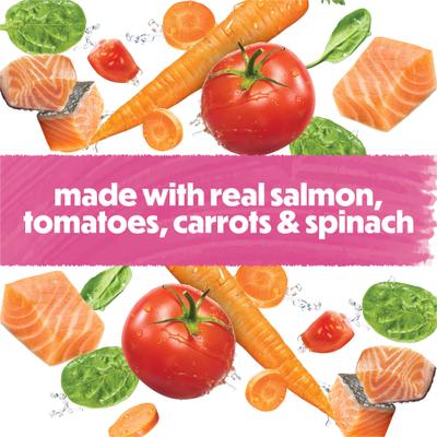 Show full view: Purina Beneful IncrediBites Pate with Real Salmon Recipe Small Breed Wet Dog Food, 3-oz can, case of 24 slide 5 of 11