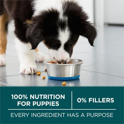 Show full view: Purina ONE +Plus Natural Large Breed Formula Dry Puppy Food, 31.1-lb bag slide 8 of 11