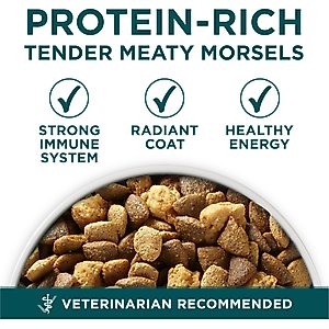 Purina ONE +Plus Natural Large Breed Formula Dry Puppy Food, 40-lb bag