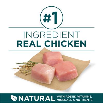 Show full view: Purina ONE SmartBlend Large Breed Puppy Formula Dry Dog Food + Burt's Bees Tearless Puppy Shampoo with Buttermilk slide 5 of 9