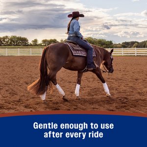 Farnam Leather New Horse Polishing Soap, 16-fl oz bottle