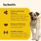 Show in main carousel: Rachael Ray Nutrish Limited Ingredient Lamb Meal & Brown Rice Recipe Dry Food + Soup Bones Chicken & Veggies Flavor Dog Treats slide 9 of 9