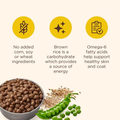 Show full view: Rachael Ray Nutrish Just 9 Lamb Meal & Brown Rice Limited Ingredient Recipe Dry Food + Soup Bones Chicken & Veggies Flavor Dog Treats slide 9 of 10