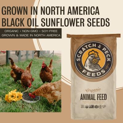 Show full view: Scratch and Peck Feeds Organic Black Oil Sunflower Seeds Chicken Treats, 25-lb bag slide 3 of 8