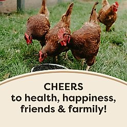 Scratch and Peck Feeds Organic Black Oil Sunflower Seeds Chicken Treats, 7-lb pouch slide 2 of 8