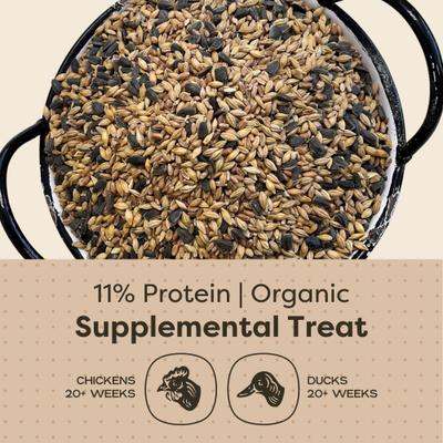 Show full view: Scratch and Peck Feeds Organic Scratch + Seeds Chicken Treats, 10-lb pouch slide 4 of 8