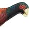 Show in main carousel: Browning Pheasant Squeaker Dog Toy, Multi, Small slide 4 of 6