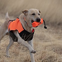 Browning Vinyl Training Dummy Dog Toy, Safety Orange, Small slide 2 of 4