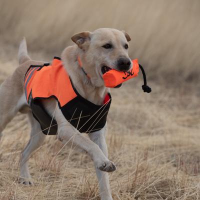 Show full view: Browning Vinyl Training Dummy Dog Toy, Safety Orange, Large slide 5 of 6
