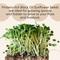 Show in main carousel: Scratch and Peck Feeds Organic Black Oil Sunflower Seeds Chicken Treats, 25-lb bag slide 6 of 8