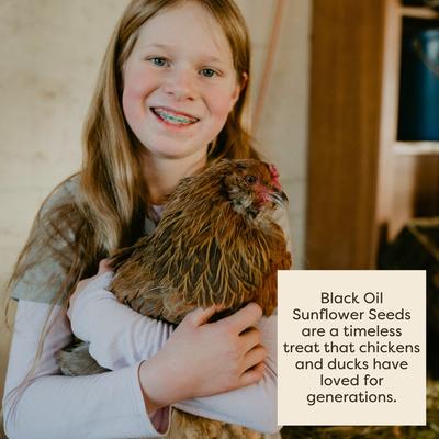 Show full view: Scratch and Peck Feeds Organic Black Oil Sunflower Seeds Chicken Treats, 7-lb pouch slide 5 of 8