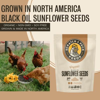 Show full view: Scratch and Peck Feeds Organic Black Oil Sunflower Seeds Chicken Treats, 7-lb pouch slide 3 of 8