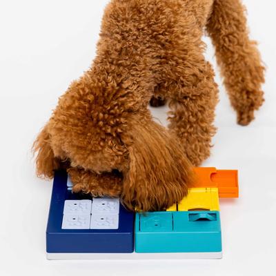 Show full view: Pawzler Smarty Set Puzzle Dog Toy slide 6 of 7