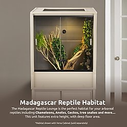 New Age Pet Madagascar Vertical Chameleon & Arboreal Reptile Terrarium, 30x24x36-in, Maple slide 2 of 9