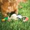 Show in main carousel: Browning Rubber Duck Dog Rope Toy slide 5 of 5