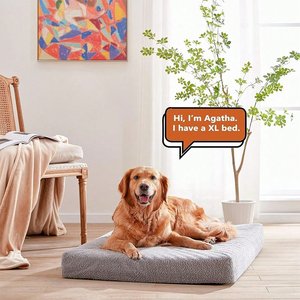 LFC PETS Cooling Orthopedic Memory Foam Dog Bed, Gray, X-Large