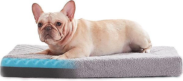 Show full view: LFC PETS Cooling Orthopedic Memory Foam Dog Bed, Gray, Medium slide 1 of 6
