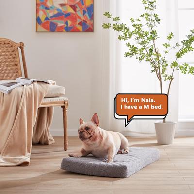 Show full view: LFC PETS Cooling Orthopedic Memory Foam Dog Bed, Gray, Medium slide 3 of 6