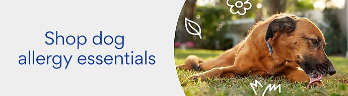 Shop dog allergy essentials