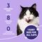 Show in main carousel: Virbac C.E.T. IntelliDent Cat Dental Treats, 90 count slide 6 of 9