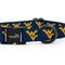 Show in main carousel: ShopInstaPets NCAA Polyester Standard Dog Collar, Small: 11 to 16-in neck, 1/2-in wide, West Virginia Mountaineers slide 3 of 5