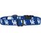 Show in main carousel: ShopInstaPets NCAA Polyester Standard Dog Collar, Large: 16 to 26-in neck, 1-in wide, Kentucky Wildcats slide 5 of 6