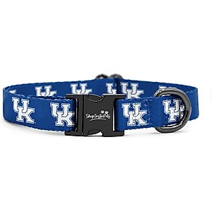 ShopInstaPets NCAA Polyester Standard Dog Collar, Large: 16 to 26-in neck, 1-in wide, Kentucky Wildcats