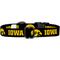 Show in main carousel: ShopInstaPets NCAA Polyester Standard Dog Collar, X-Small: 8 to 12-in neck, 1/2-in wide, Iowa Hawkeyes slide 4 of 5